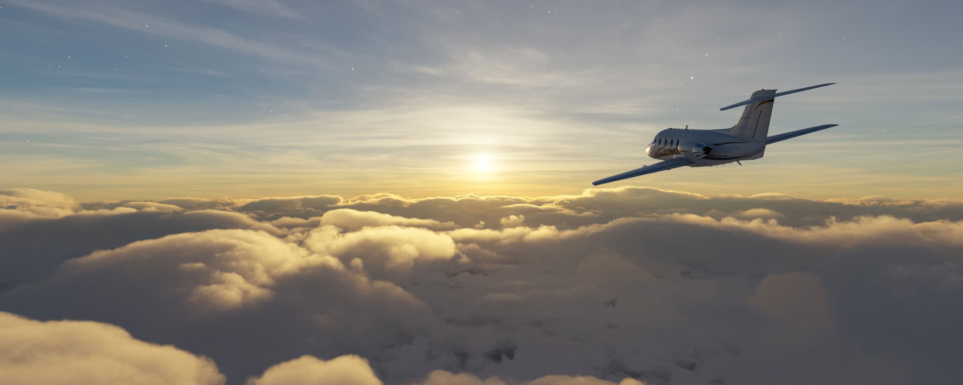 Ticket Wiz background